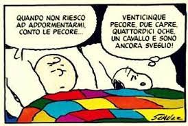 L'IMPORTANZA DI DORMIRE BENE - LA QUALITA' DEL SONNO