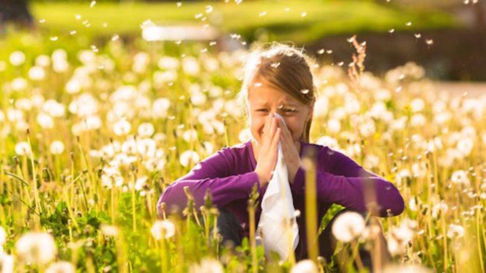 LA PRIMAVERA –  LE ALLERGIE