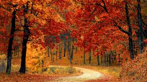 SCONTI DI OTTOBRE