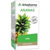 ARKO CAPSULE ANANAS 130 CAPSULE - Farmaciapacini.it