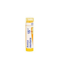 ARNICA MONTANA 15CH GRANULI - Farmaciapacini.it