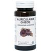 AURICULARIA GHEOS 90 CAPSULE - Farmaciapacini.it
