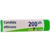 CANDIDA ALBICANS 200CH GLOBULI 1G - Farmaciapacini.it