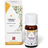 CANNELLA OLIO ESSENZIALE 10 ML - Farmaciapacini.it