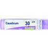 CAUSTICUM*30CH 80GR 4G - Farmaciapacini.it