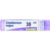 CHELIDONIUM MAJUS*30CH 80GR 4G - Farmaciapacini.it