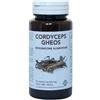 CORDYCEPS GHEOS 90 CAPSULE DA 540 MG - Farmaciapacini.it