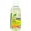 DR ORGANIC TEA TREE MOUTHWASH COLLUTORIO 500 ML - Farmaciapacini.it