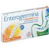 ENTEROGERMINA*OS 10FL 4MLD/5ML - Farmaciapacini.it