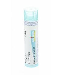 HEPAR SULFURIS CAL 200K GLOBULI - Farmaciapacini.it
