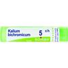 KALIUM BICHROMICUM*5CH 80GR 4G - Farmaciapacini.it