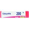 COLOCYNTHIS 200K GLOBULI - Farmaciapacini.it