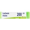 LACHESIS MUTUS 200 CH GLOBULI - Farmaciapacini.it