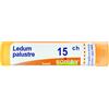 LEDUM PALUSTRE 15 CH GRANULI - Farmaciapacini.it