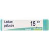 LEDUM PALUSTRE 15CH GLOBULI - Farmaciapacini.it