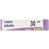 LEDUM PALUSTRE 30 CH GLOBULI - Farmaciapacini.it