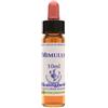 MIMULUS ESSENZA 10 ML 1 PEZZO - Farmaciapacini.it