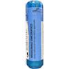 NATRUM CARBONICUM 30CH 70 GRANULI 3,5G - Farmaciapacini.it