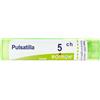 PULSATILLA*5CH 80GR 4G - Farmaciapacini.it