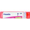 PULSATILLA*7CH 80GR 4G - Farmaciapacini.it
