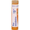RHUS TOX BOI*15CH GR 4G - Farmaciapacini.it