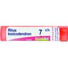 RHUS TOX BOI*7CH GR 4G - Farmaciapacini.it