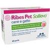 RIBES PET SOLLIEVO BLISTER 60 PERLE - Farmaciapacini.it