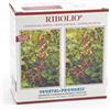 RIBOLIO DOPPIO 100 CAPSULE - Farmaciapacini.it