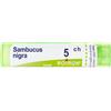 SAMBUCUS NIGRA*5CH 80GR 4G - Farmaciapacini.it