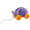 SEVI PUSH & PULL TRAINABILE ELEFANTE - Farmaciapacini.it