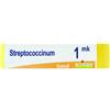STREPTOCOCCINUM MK GLOBULI - Farmaciapacini.it