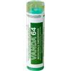 VANDA 64*4G 80GR CONT MULTID - Farmaciapacini.it