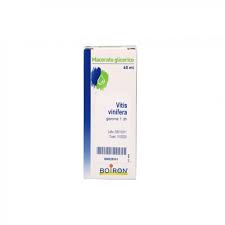VITIS VINIFERA MACERATO GLICERICO 60 ML - Farmaciapacini.it