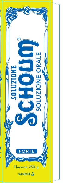 SOLUZIONE SCHOUM*FTE 250G - Farmaciapacini.it
