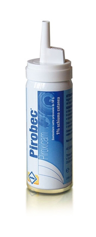 PIROBEC*CUT SCHIUMA 50G 1% - Farmaciapacini.it