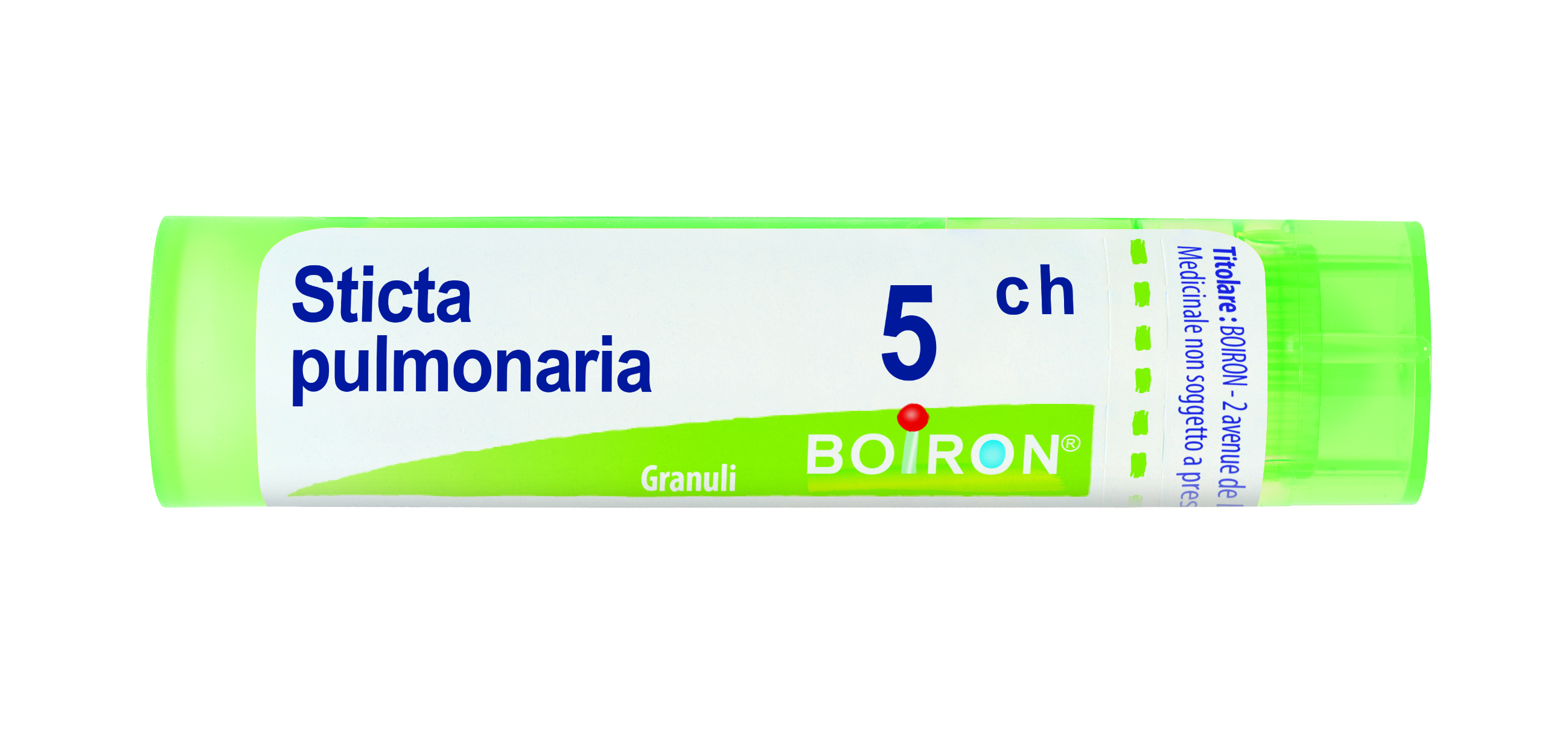 STICTA PULMONARIA*5CH 80GR 4G - Farmaciapacini.it