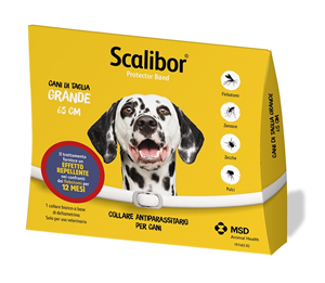 SCALIBOR PROTECTOR BAND*BI65CM - Farmaciapacini.it