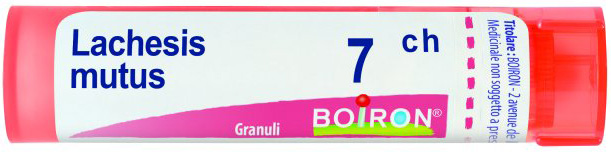 LACHESIS MUTUS 7 CH GRANULI - Farmaciapacini.it