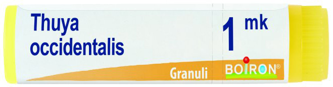 THUYA OCCIDENTALIS MK GLOBULI - Farmaciapacini.it
