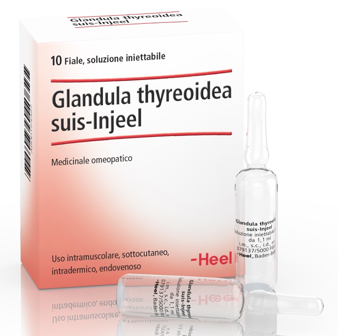 HEEL GLANDULA THYROIDEA SUIS INJEEL 10 FIALE - Farmaciapacini.it