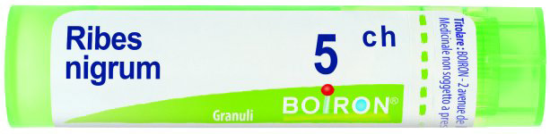 RIBES NIGRUM 5CH GRANULI - Farmaciapacini.it