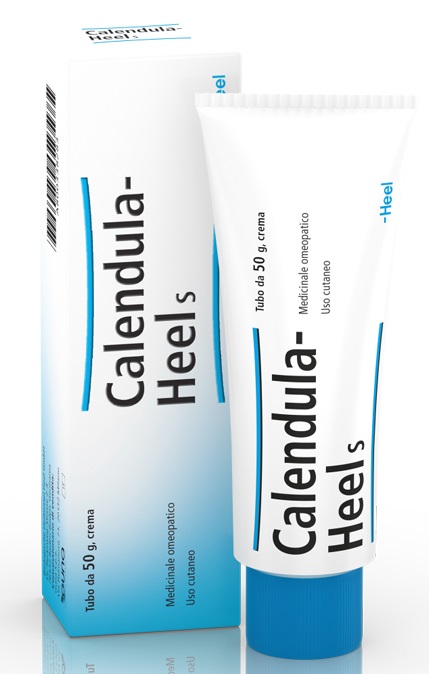 HEEL CALENDULA SALBE POMATA M 50 G - Farmaciapacini.it