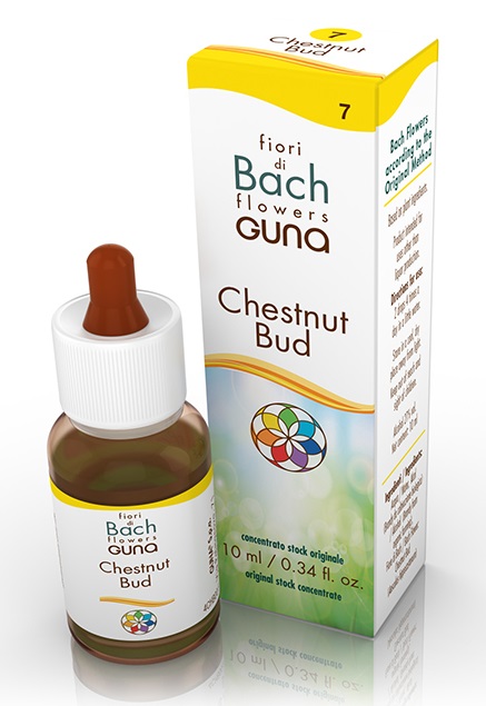 CHESTNUT BUD GOCCE 10 ML - Farmaciapacini.it