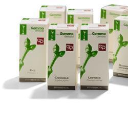 LENTISCO MACERATO GLICERICO 100 ML - Farmaciapacini.it