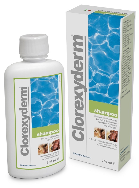 CLOREXYDERM SHAMPOO 250 ML - Farmaciapacini.it