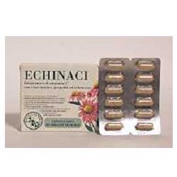 ECHINACI 36 CAPSULE VEGETALI - Farmaciapacini.it