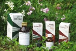 RAEMIL ROSMARINO OLIO 25 ML - Farmaciapacini.it