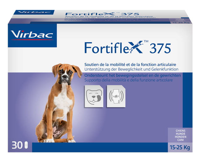 FORTIFLEX 375 MG 30 COMPRESSE APPETIBILI - Farmaciapacini.it