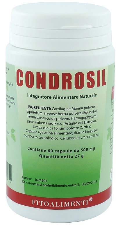 CONDROSIL 60 CAPSULE - Farmaciapacini.it