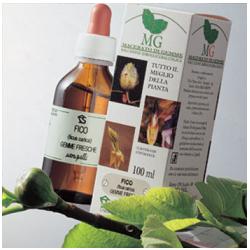 SEQUOIA 100ML MG - Farmaciapacini.it